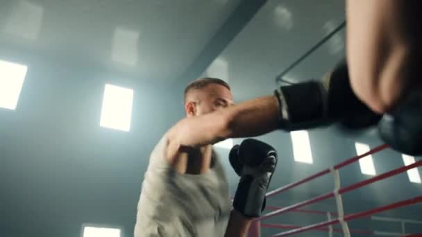 Tiro Médio Boxeador Meia Idade Exercitando Boxe Escudo Soco Redondo — Vídeo de Stock