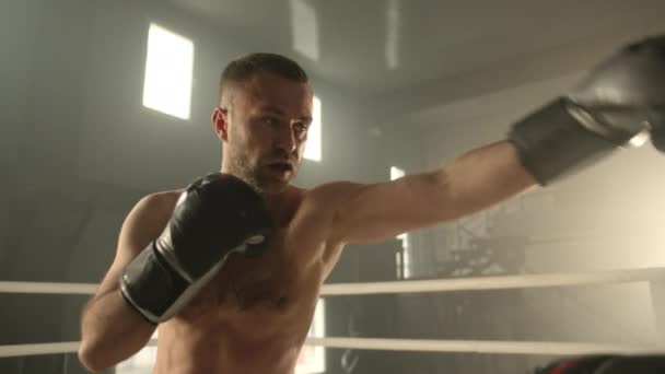 Tiro Sobre Hombro Boxeadores Con Guantes Lanzándose Puñetazos Ring Boxeo — Vídeos de Stock