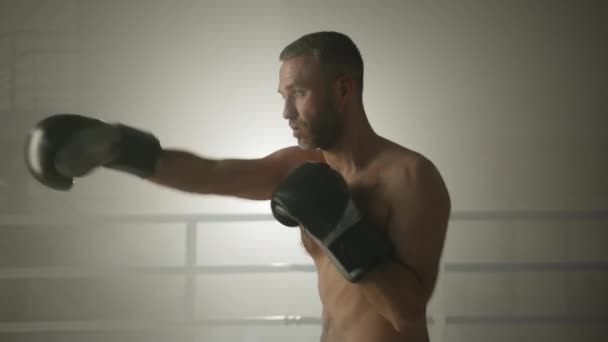Foto Perfil Médio Boxeador Meia Idade Com Tronco Luvas Exercitando — Vídeo de Stock