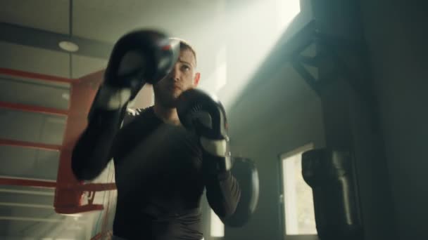若いフィットボクサーは ボクシングの手袋を身に着けている影のボクシングで練習を行う スポーツマンは空気中でパンチをスローします 男はボクシングリングでジムで訓練します 高品質4K映像 — ストック動画