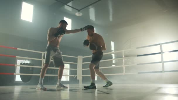Voller Schuss Von Zwei Boxern Jung Und Mittleren Alters Boxhandschuhen — Stockvideo