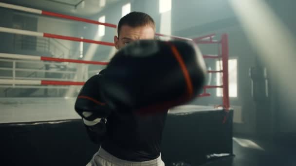 Střední Snímek Mladého Pohledného Boxera Boxerských Rukavicích Předvádějícího Stínový Box — Stock video