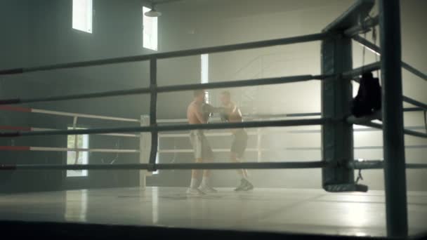 Longo Tiro Dois Boxers Com Tronco Luvas Boxe Lutando Ringue — Vídeo de Stock
