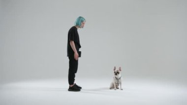 Fransız bulldog ustayı görmezden geliyor. Kadın evcil hayvanı eğitmek ve dikkatini dağıtmak için işaret kullanmaz. Evcil hayvan başını efendiye çevirir. Yüksek kalite 4k görüntü