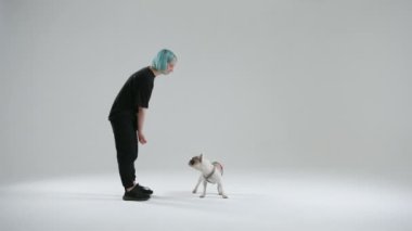 Evet işaretini kullanarak genç bir kadının Fransız bulldog 'unu eğitme süreci. Evcil hayvan, komutları doğru yerine getirene ödül olarak yiyecek alır. Köpek efendiye gelir. Yüksek kalite 4k görüntü