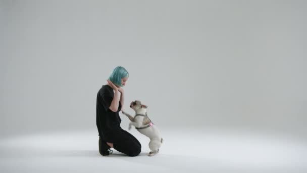 年轻的微笑的女人爱抚法国斗牛犬 这只宠物很高兴 主人跪着站着 而狗把前腿放在她胸前 高质量的4K镜头 — 图库视频影像