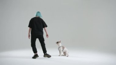 Genç bayan köpek eğitmeni, Fransız bulldog 'unu eğitmek için evet işareti kullanıyor. Kadın evet der ve köpekten kaçar. Köpek eğitmeni kovalar, ödül olarak köpek maması alır. Yüksek kalite 4k görüntü