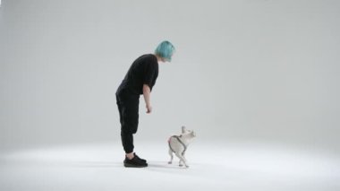Genç bayan üstat tarafından verilen çevirme komutunu Fransız bulldog icra eder. Kadın, emri köpeğe yaptırmak için jest yapıyor. İkram olarak yiyecek. Yüksek kalite 4k görüntü