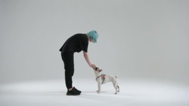 Fransız bulldog ustası köpek eğitiminde oturma komutu kullanıyor. Kadın, köpek emir verdikten sonra evcil hayvanı yemekle ödüllendirir. Yüksek kalite 4k görüntü