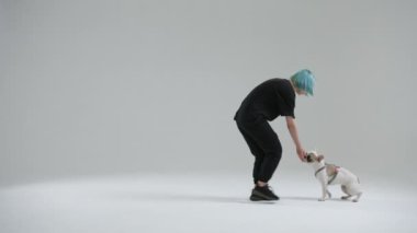 Genç bayan usta, Fransız bulldog 'unu eli takip etmesi için eğitiyor. Kadın, evcil hayvan onu kovalarken yemeği elinde tutuyor. Doğru hareketlerin ödülü olarak yiyecek. Yüksek kalite 4k görüntü