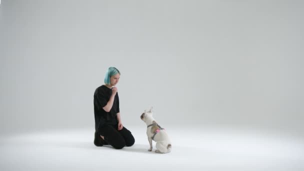 Joven Maestra Enseña Bulldog Francés Para Responder Nombre Mujer Sostiene — Vídeo de stock