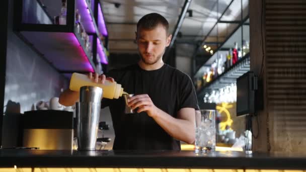 Camarero Hace Cóctel Alcohólico Shakerat Mostrador Del Bar Imágenes Alta — Vídeo de stock
