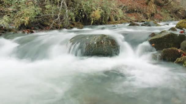 美丽的秋色森林 有着一条浅浅的 快速的天然溪流 形成了发泡的水 石头巨石矗立在溪流的中央 时间流逝 高质量的4K镜头 — 图库视频影像