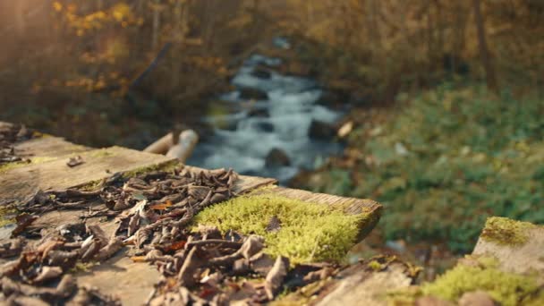 Tahta Köprünün Eski Kırık Kalasları Sarı Ağaçlı Çalkantılı Akıntısı Ile — Stok video