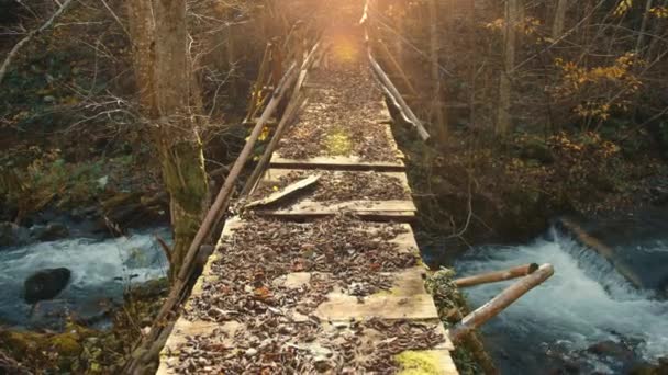 숲에서 거품과 폭포를 만드는 신속한 보드와 오래된 다리의 고품질 — 비디오