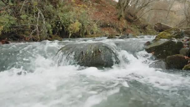 Podzimní Dřevo Malým Vodopádem Narážejícím Kamenný Blok Uprostřed Přírodního Potoka — Stock video