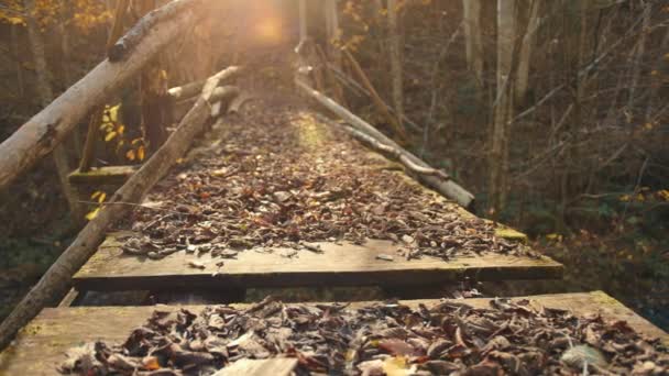 Красочный Пейзаж Разрушенным Деревянным Мостом Покрытым Сухими Коричневыми Листьями Бурным — стоковое видео