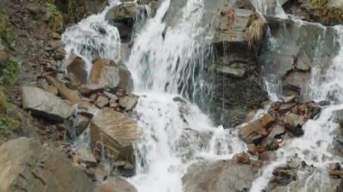 Kayalık bir tepeden aşağı köpüren saf su çağlayanı nemli bir yamaçta büyüyen yeşillikle nefes kesici bir manzara yaratıyor. Şelalelerin kralı. Yüksek kalite 4k görüntü