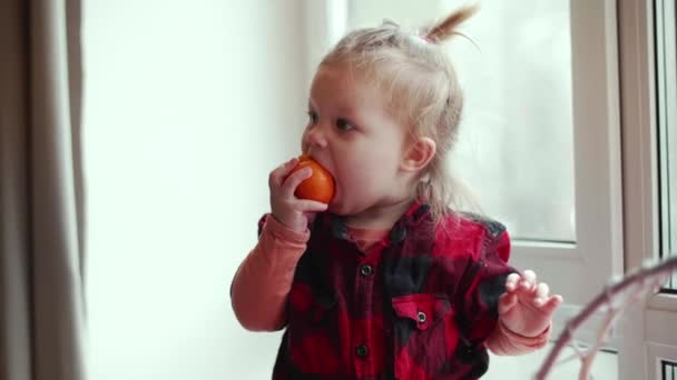 Κοριτσάκι Τρώει Μανταρίνι Ενώ Στέκεται Στο Παράθυρο Μωρό Γεύση Αποφλοιωμένες — Αρχείο Βίντεο