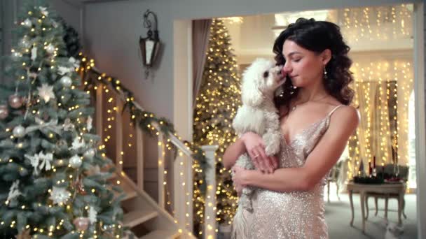 Elegant Lady Holds Her Dog While Posing Camera Christmas Interior — Stock Video