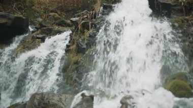 Yeşil yosunlu büyük taş kayalar ve hızlı köpüren su akıntısıyla yıkanan bitkiler ormanda kasvetli bir sonbahar gününde sıçrama ve sis yapıyor. Yüksek kalite 4k görüntü