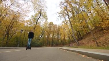 Asfalt, tepe, çok renkli yapraklarla kaplanmış yol, genç ve yaşlı ağaçlar, ahşap banklar, yan tarafında sokak lambaları. Altın mevsim. Yüksek kalite 4k görüntü