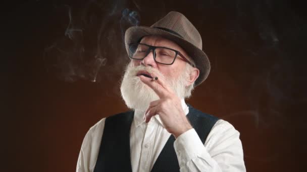 Významný Starší Pán Bílým Plnovousem Kouřící Doutník Oblečený Klasickém Retro — Stock video
