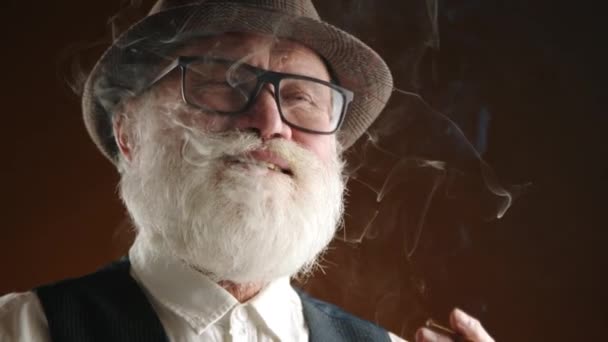 Elegant Senior Man Med Vitt Skägg Och Glasögon Andas Rök — Stockvideo