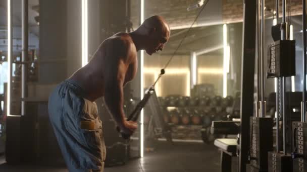Homme Chauve Gymnase Est Entièrement Concentré Sur Exécution Poussées Triceps — Video