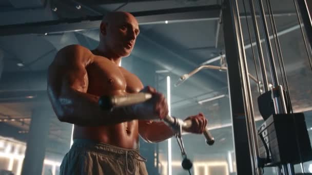 裸のトルソを持つ筋肉男性は ケーブルマシンで二重カール運動を行い 彼の印象的な体格とフィットネスへのコミットメントを示しています カメラ Raw — ストック動画