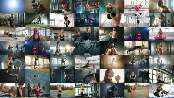 垂直パノラマコラージュ 人々がスポーツに携わっている数十のビデオ 男性と女性はプロフェッショナリズムと忍耐を示す巧みに演習を行います — ストック動画