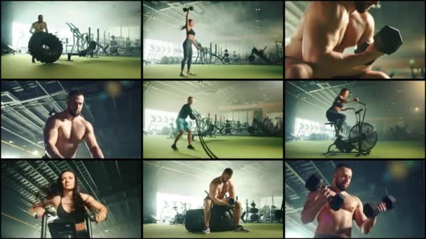 Collage Vidéos Mettant Vedette Des Athlètes Professionnels Pratiquant Divers Sports — Video