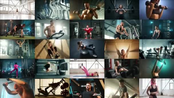 Konzentrierte Sportler Führen Verschiedene Übungen Aus Kniebeugen Mit Der Langhantel — Stockvideo