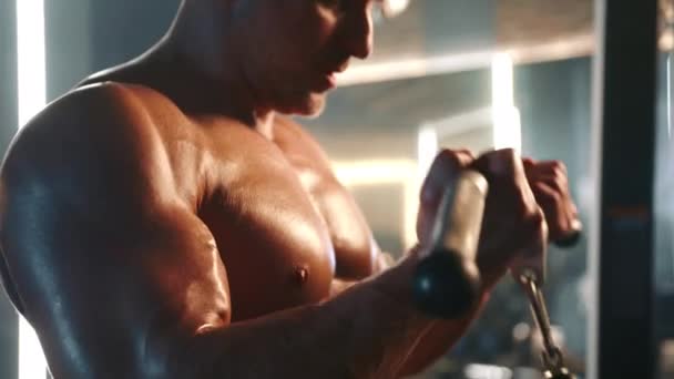 Bodybuilder Dédié Effectue Des Exercices Bras Concentrés Sur Une Machine — Video