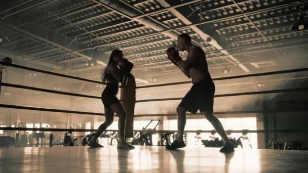 在宁静的体育馆气氛中 一位男女拳击手一起训练 以专注 协调和对拳击运动的相互奉献 完善了他们的拳打脚踢 8K照相机 — 图库视频影像