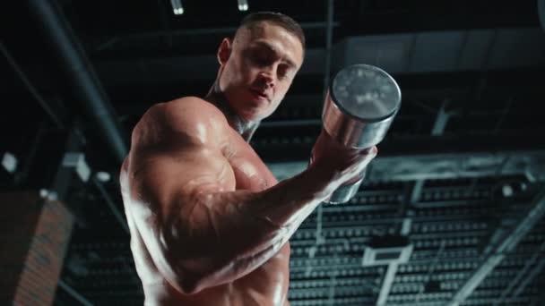 Profesjonalny Sportowiec Wyraźnych Muskulaturach Intensywnie Wykonuje Loki Bicepsowe Ciężkim Hantlem — Wideo stockowe