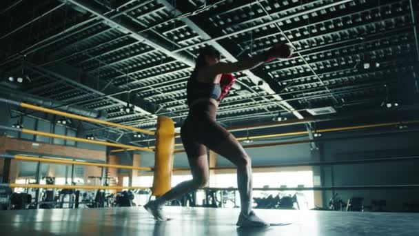 若い女性ボクサーが動き ボクシングリングの決意でパンチテクニックを完成させ 広々としたジムでスキルを磨きます カメラ Raw — ストック動画