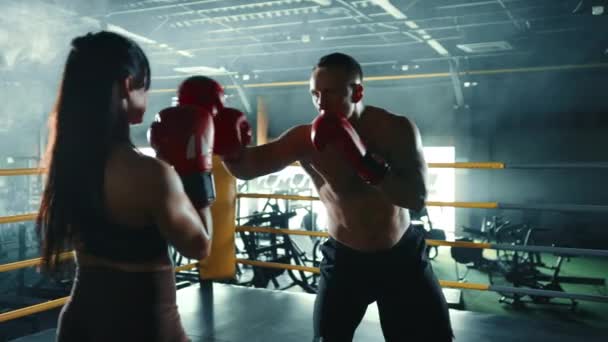 Boxeador Masculino Femenino Entrenan Juntos Intercambiando Golpes Practicando Técnicas Defensivas — Vídeos de Stock