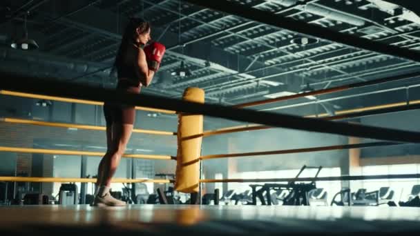 一位坚定的女拳击手通过在拳击台内的空中抛出精确的一拳来训练 在体育馆的背景下表现出专注和战斗准备 8K照相机 — 图库视频影像