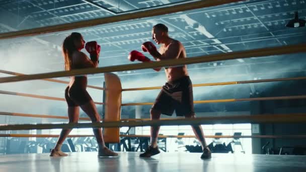Два Ориентированных Боксера Мужчина Женщина Находятся Идеальной Синхронности Тренируются Вместе — стоковое видео