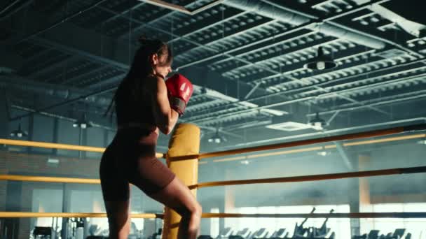 Eine Entschlossene Boxerin Trainiert Ihre Schlagtechnik Einer Modernen Sonnendurchfluteten Boxhalle — Stockvideo
