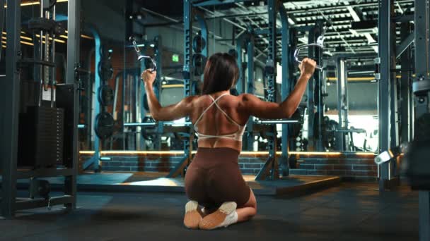 Een Fitness Liefhebber Richt Haar Boven Onderrug Spieren Met Toewijding — Stockvideo
