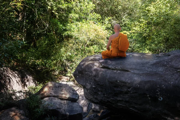 Buddha monk practice meditation in forest