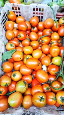 Pazarda satılmaya hazır bir domates yığını.