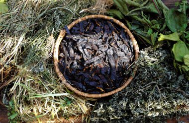 Doğal malzemelerden saç şampuanı elde etmek için ham madde. Çekirge meyvesi de gleditsia triacanthos, mugwort, guava yaprağı, betel, el yapımı çekirge ve saç bakımı, sağlıklı.