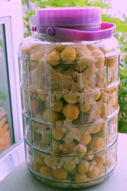 Kayısı veya Japon eriğinden lezzetli içecek yapmak için ham madde. Şekerli mevsimlik meyve. Sağlığa, beslenmeye ve zengin vitamine iyi gelir.