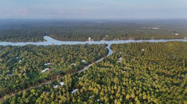 Mekong Deltası 'nın güzel hava manzarası, Hindistan cevizi tarlası, Hindistan cevizi, nipa palmiyesi ormanı, nehir kenarındaki ev ve su nakliyesi Ben Tr' de Vietnam eko-turizmi için iyi.