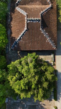 Mekong Deltası 'nın havadan görünüşü, Ben Tre turisti kayısı ya da Bach Mai çiçeği, bir miras ağacı ve Phu Tu Tapınağı' ndaki eski bir ev, Vietnam için bir seyahat yeri.