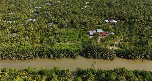 stock image Amazing aerial view from drone of Mekong Delta countryside, vast coconut field along canal, green palm trees and nipa plant with river make natural jungle of Vietnamese village for BenTre eco trave