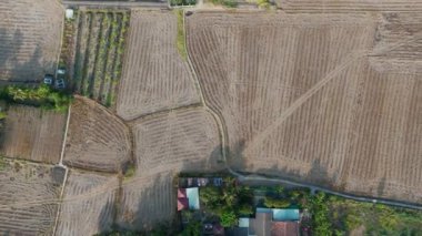 Tarım arazisinin insansız hava aracı, Mekong Delta kırsalında sıcak mevsimde kurutulmuş pirinç çiftliği, sıcak havada kuru toprak, değişen iklim felaketi küresel iklim
